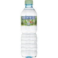 Вода минеральная Сенежская негазированная 0,5 л (упаковка 12 шт)
