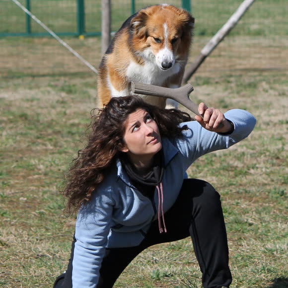 BAMA PET игрушка для собак палочка TUTTO MIO 37см, резиновая, цвета в ассортименте BAMA PET игрушка для собак палочка TUTTO MIO 37см, резиновая, цвета в ассортименте