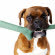 BAMA PET игрушка для собак палочка TUTTO MIO 37см, резиновая, цвета в ассортименте