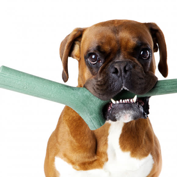 BAMA PET игрушка для собак палочка TUTTO MIO 37см, резиновая, цвета в ассортименте BAMA PET игрушка для собак палочка TUTTO MIO 37см, резиновая, цвета в ассортименте