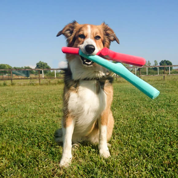 BAMA PET игрушка для собак палочка TUTTO MIO 37см, резиновая, цвета в ассортименте BAMA PET игрушка для собак палочка TUTTO MIO 37см, резиновая, цвета в ассортименте