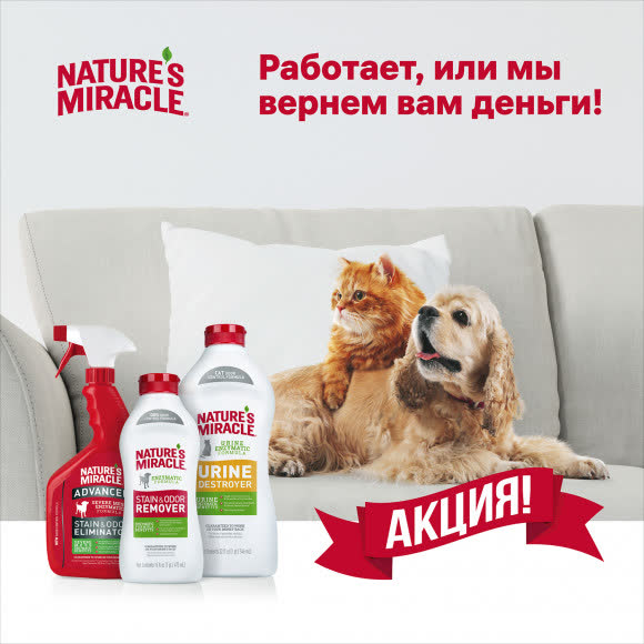 Уничтожитель пятен и запахов NM для собак универсальный, 473 мл Уничтожитель пятен и запахов NM для собак универсальный, 473 мл