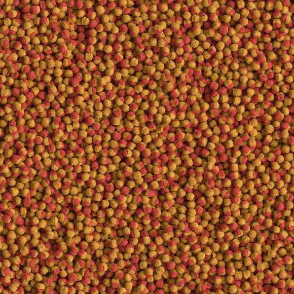 TetraCichlid Colour корм для всех видов цихлид для улучшения окраса 500 мл TetraCichlid Colour корм для всех видов цихлид для улучшения окраса 500 мл