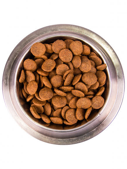 Monge Dog Maxi корм для взрослых собак крупных пород 3 кг Monge Dog Maxi корм для взрослых собак крупных пород 3 кг