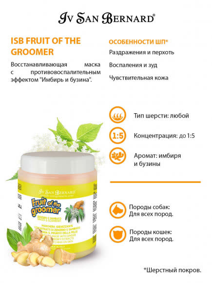 ISB Fruit of the Groomer Ginger&Elderbery Восстанавливающая маска с противовоспалительным эффектом 1 л ISB Fruit of the Groomer Ginger&Elderbery Восстанавливающая маска с противовоспалительным эффектом 1 л