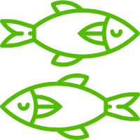 Морепродукты