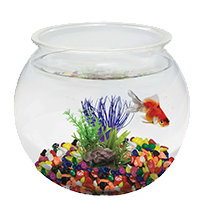 Аквариумистика